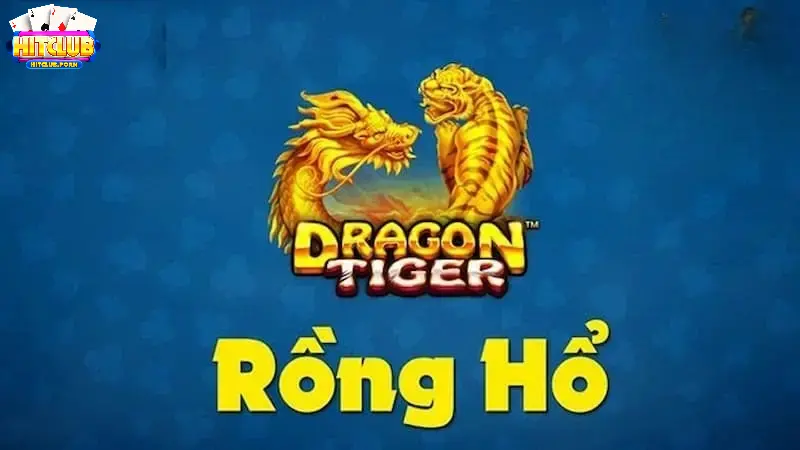 rồng hổ là gì